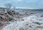 Hoar Frost at Ogden