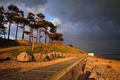 Late Evening Sunshine at Lepe
image ref 205 Late Evening Sunshine at Lepe
image ref 205