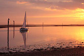 Sailing Home at Sunset
image ref 303 Sailing Home at Sunset
image ref 303